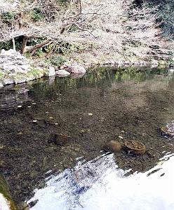 NAGOYA - Parc Tokugawa - 10.01.2024 - 20